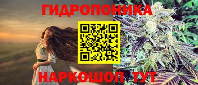 дурь Можга