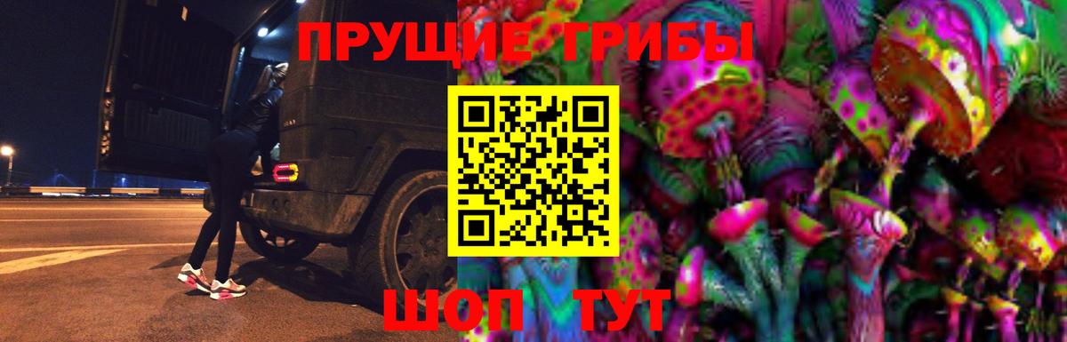 купить  сайты  Вход с VPN  Учалы  Псилоцибиновые грибы Psilocybe 